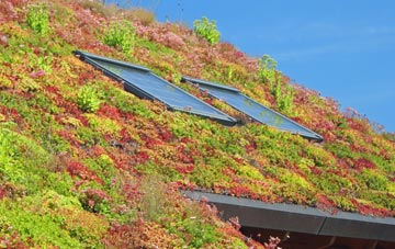 West Scrafton living roof systems