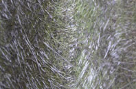 West Scrafton fibreglass roof work